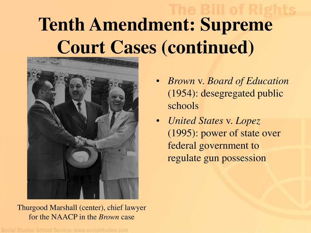 10th amendment court cases cheap